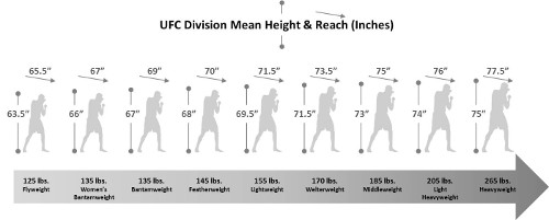 MMA-Weight-Divisions.jpg